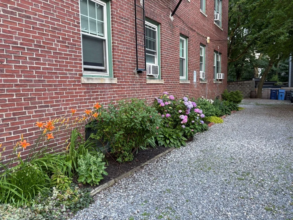 252 Harvard St # 1, Cambridge MA 02139 - Photo 2