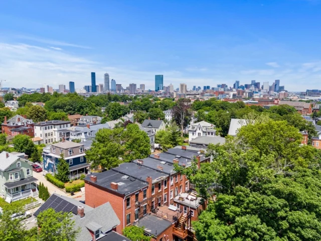 16 Perrin St, Boston MA 02119 - Preview 30