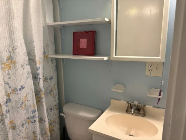 252 Harvard St # 1, Cambridge MA 02139 - Preview 13