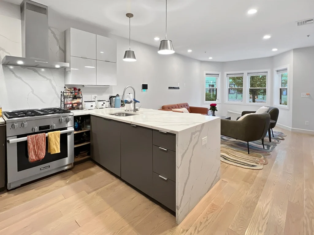 54-58 Robey St # 56, Boston MA 02119 - Photo 10