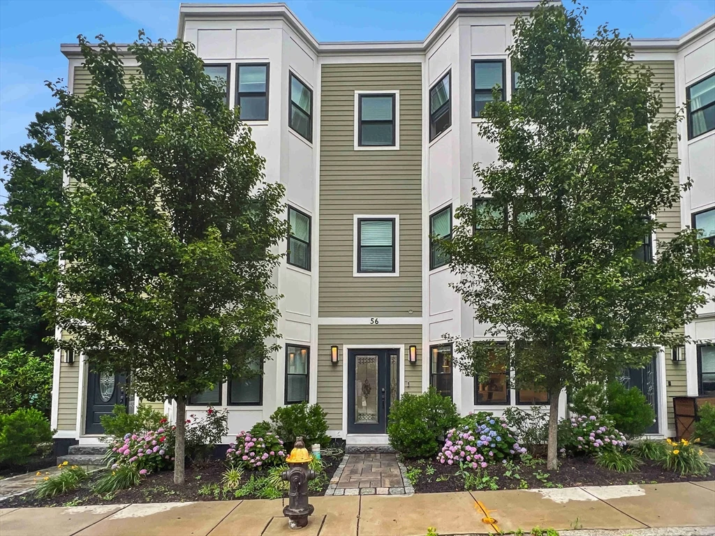 54-58 Robey St # 56, Boston MA 02119 - Photo 2